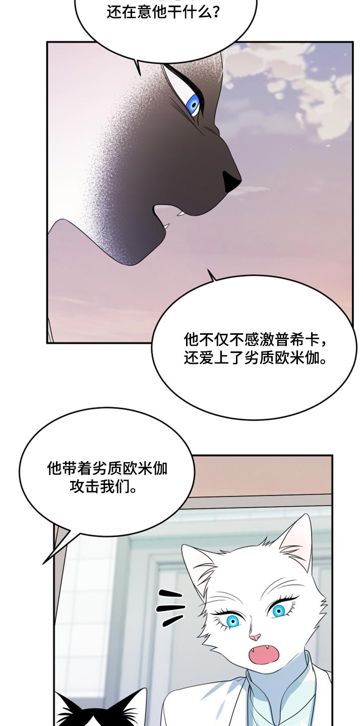 灵猫欧米伽虐不虐漫画,第57章：【第二季】新来的1图