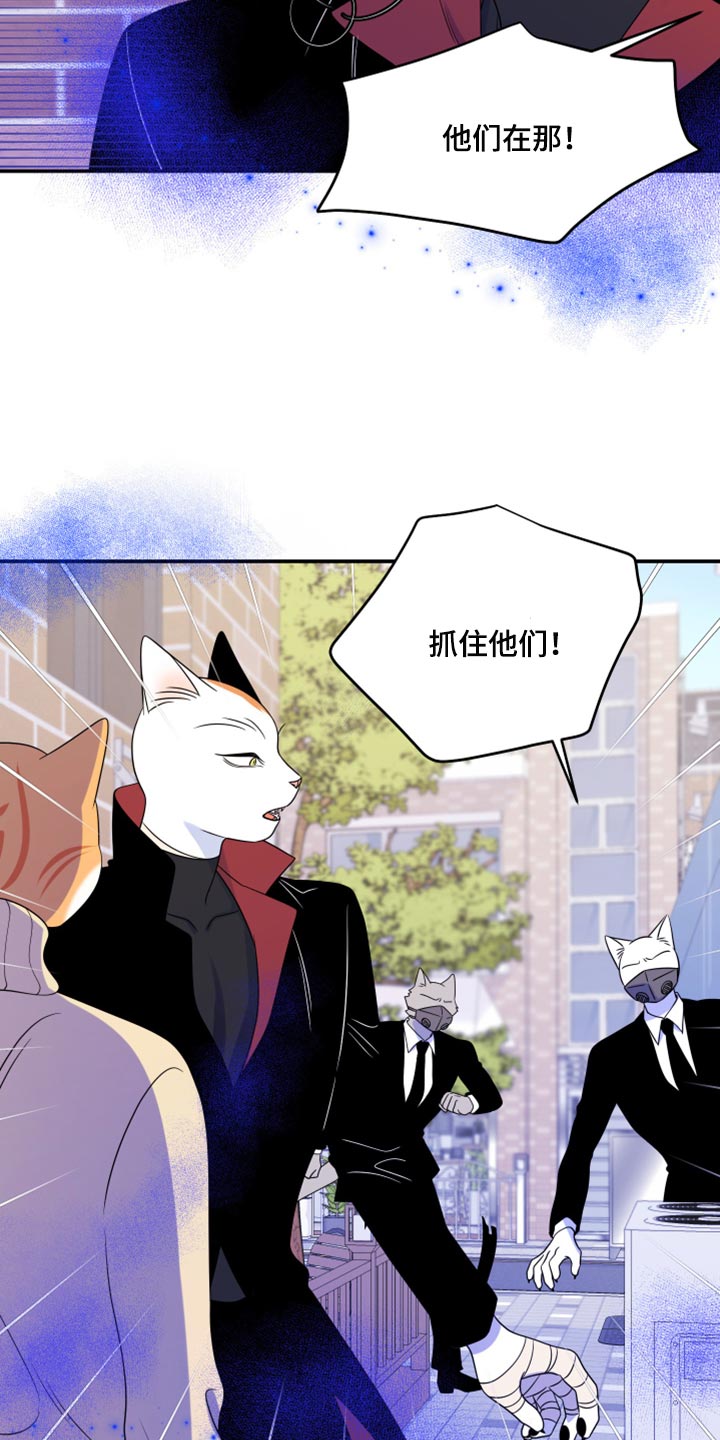 灵猫欧米伽免费阅读漫画,第49章：让我保护你2图