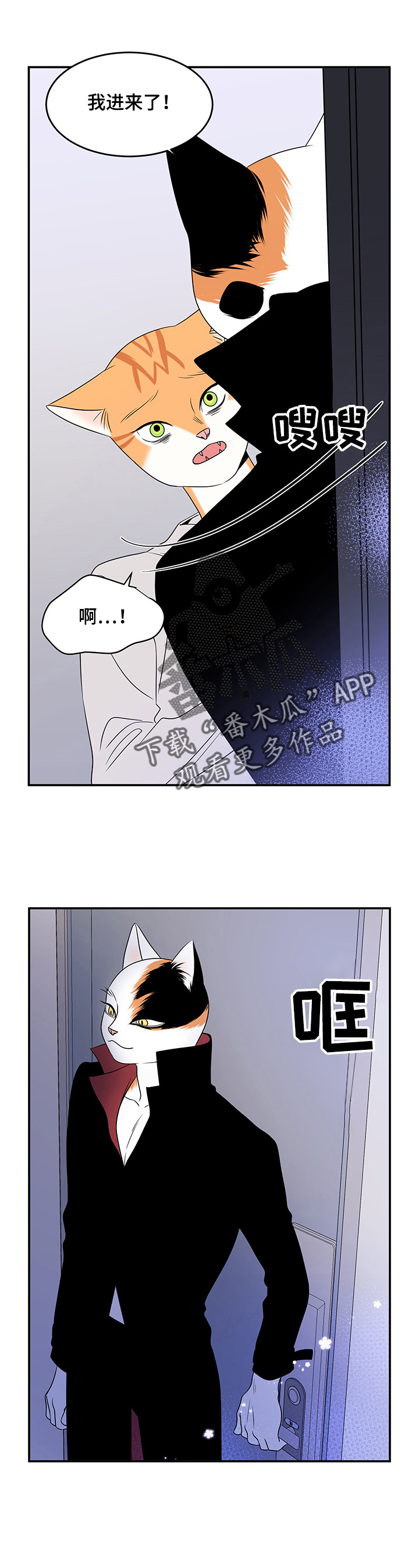 灵猫动漫漫画,第3章：送抱1图