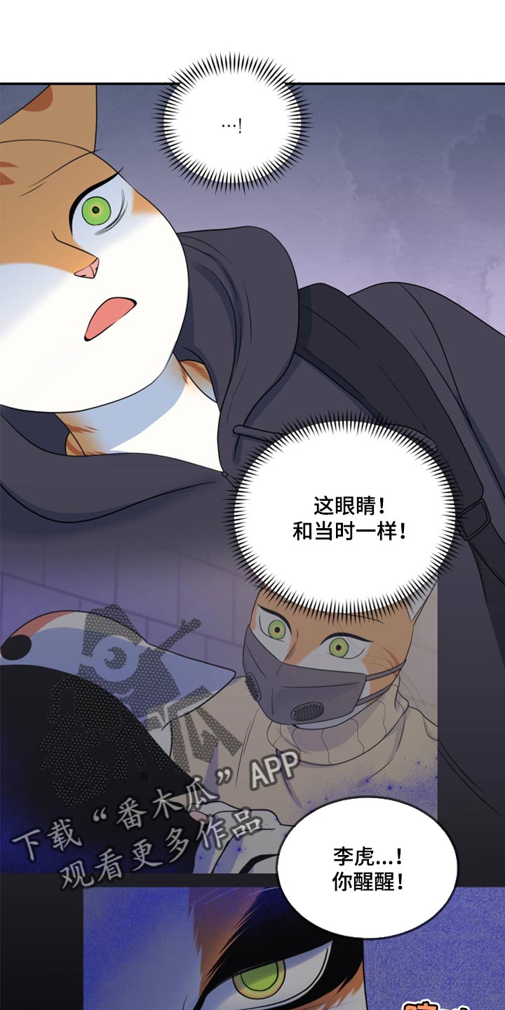 灵猫欧米伽第三季156章漫画,第61章：【第二季】不想伤害他1图