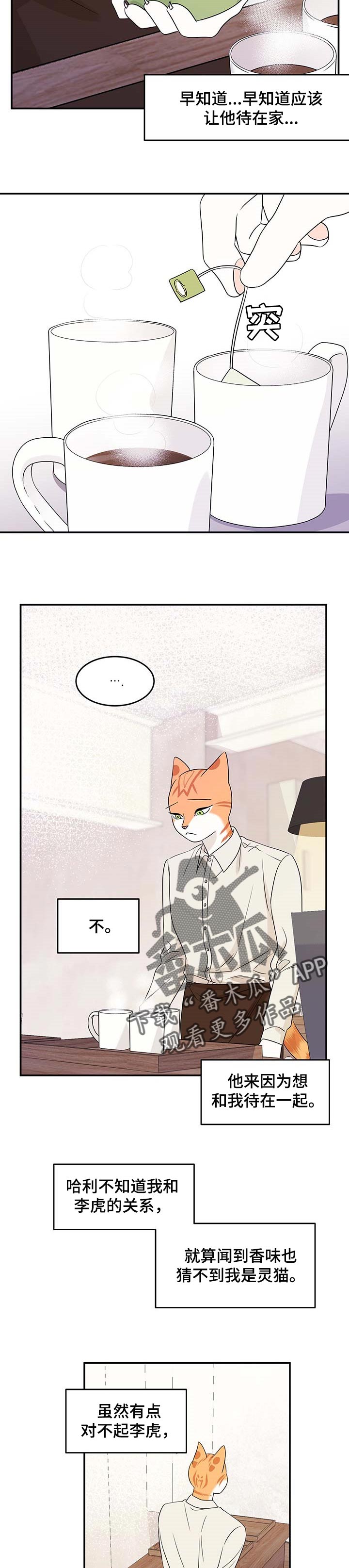 灵猫欧米伽免费阅读漫画,第23章：担心1图