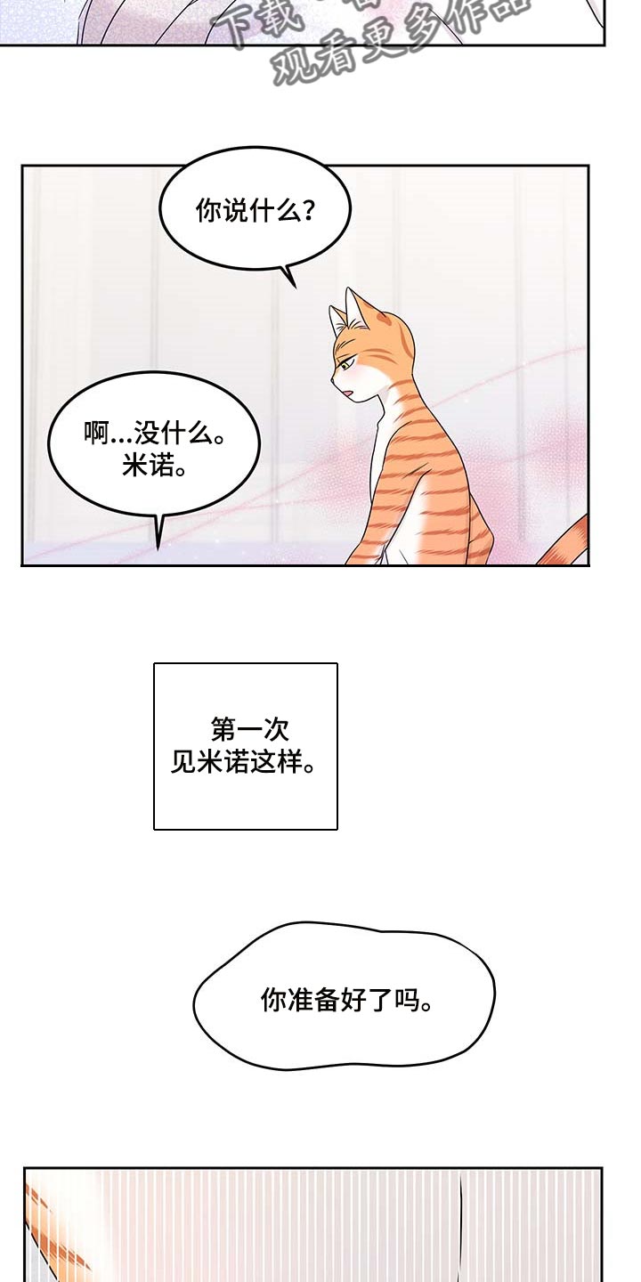 灵猫欧米伽漫画作者漫画,第46章：征服1图