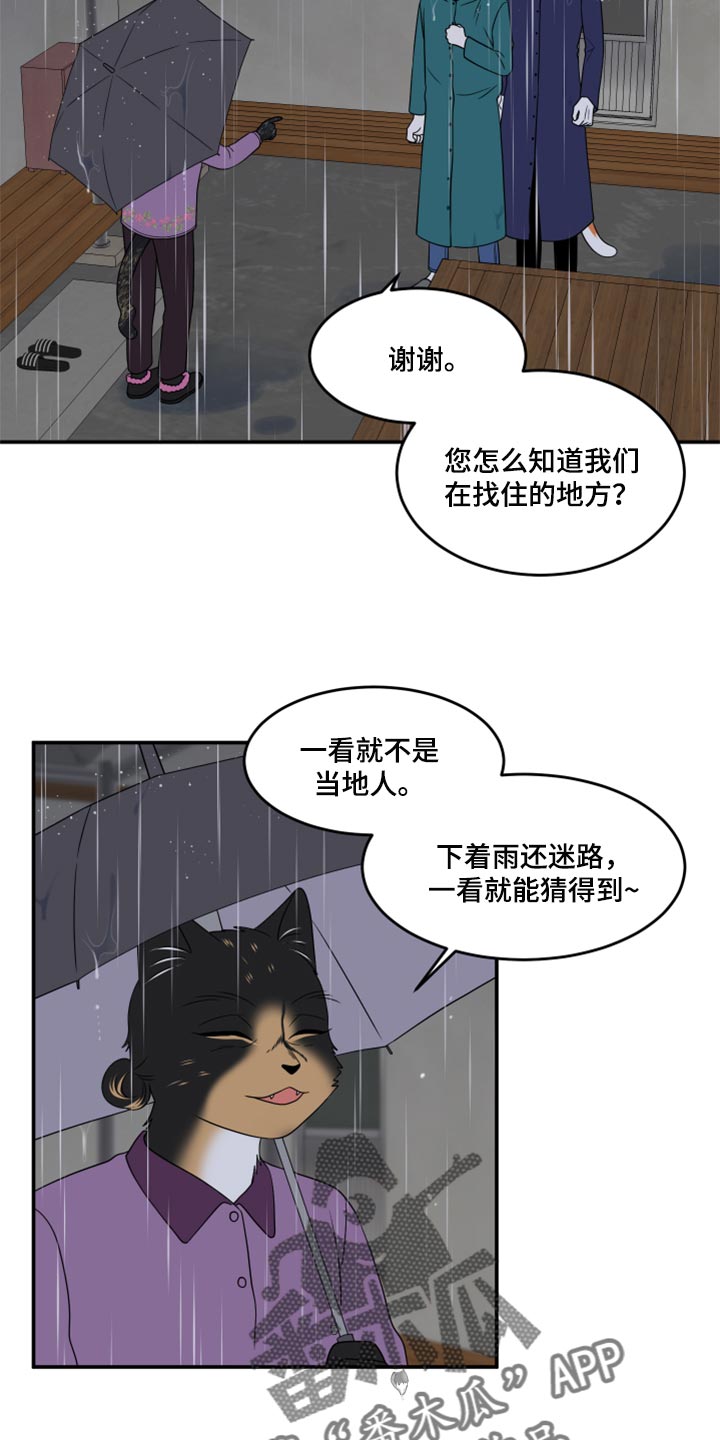 灵猫欧米伽什么时候更新第三季漫画,第54章：【第二季】你要丢下我?2图