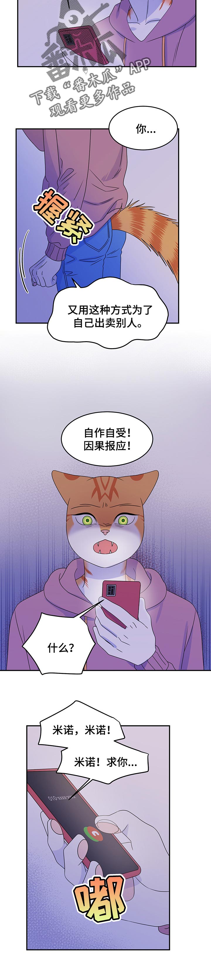 灵猫欧米伽又叫什么漫画,第33章：因果报应1图