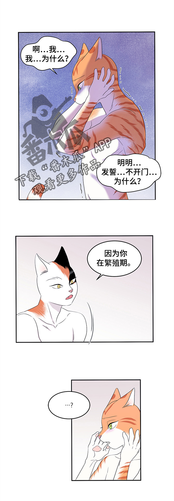 灵猫传歌曲漫画,第8章：你醒了1图