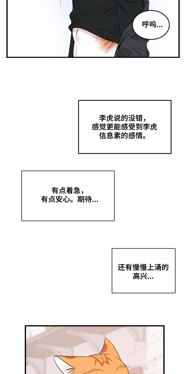 灵猫欧米伽漫画,第104章：【第二季】更重要的事2图