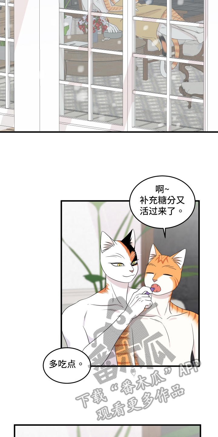 灵猫欧米伽在哪里免费看漫画,第105章：【第二季】分析2图