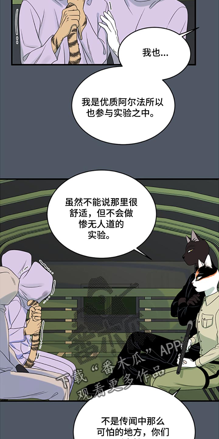 灵猫欧米伽漫画全集免费下拉式漫画,第80章：【第二季】理所应当做的事1图