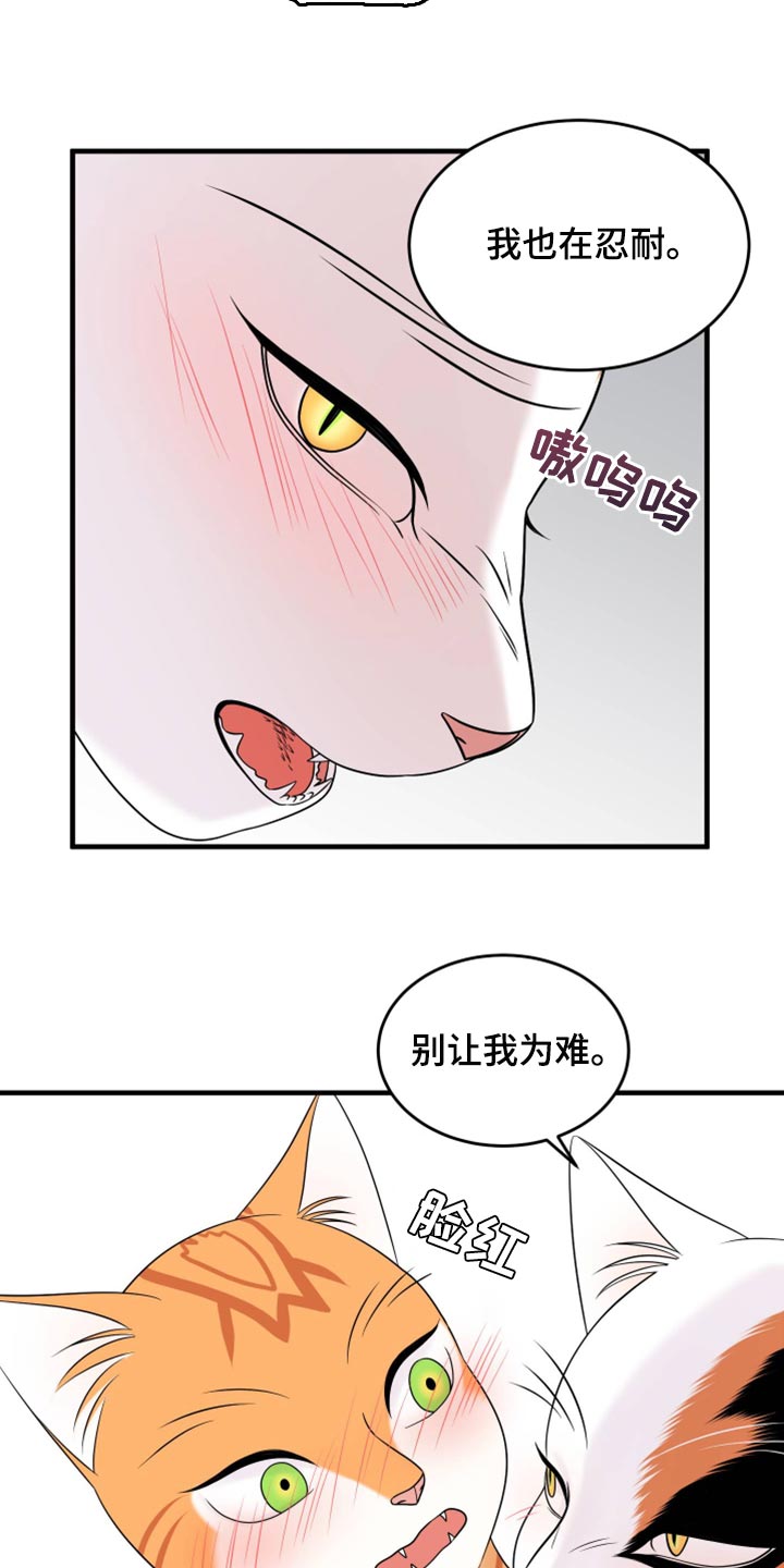 灵猫欧米伽漫画,第72章：【第二季】这是折磨啊1图