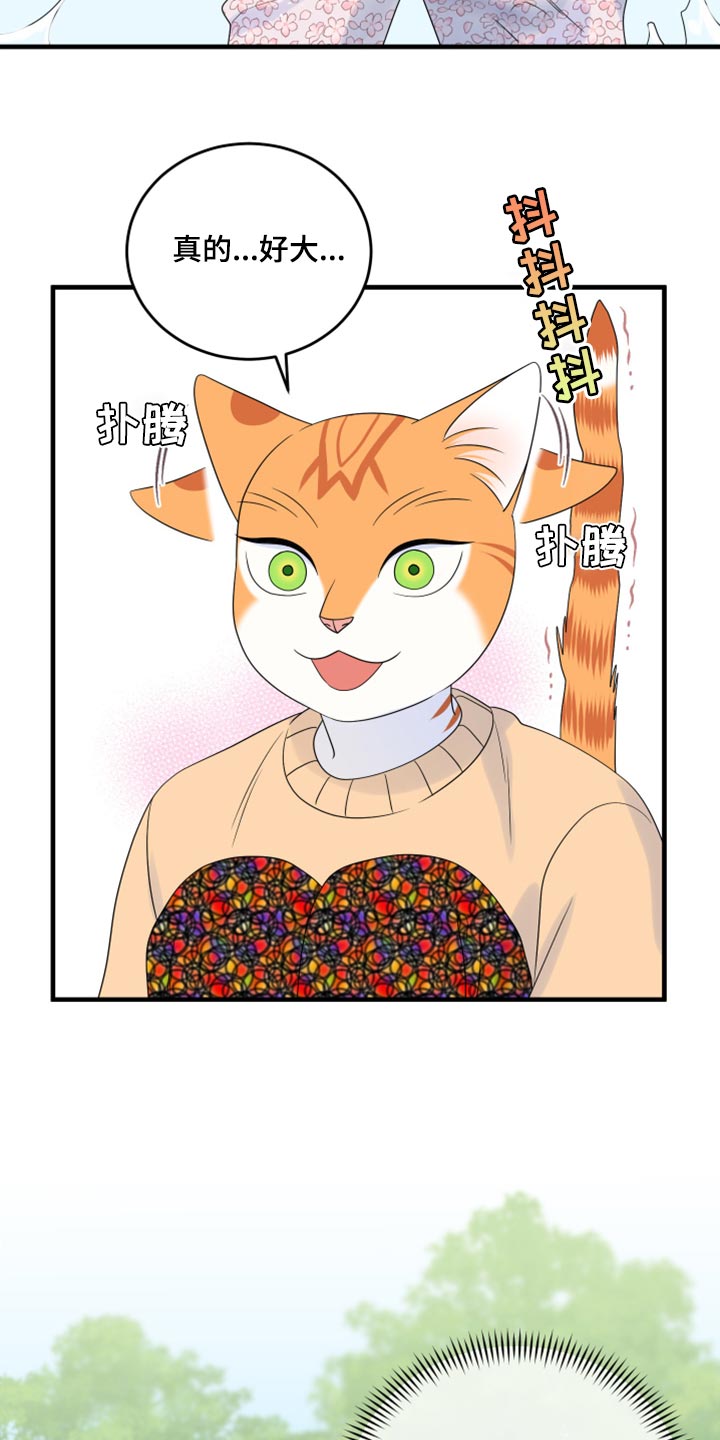 灵猫欧米伽漫画下拉漫画,第68章：【第二季】狩猎本能1图