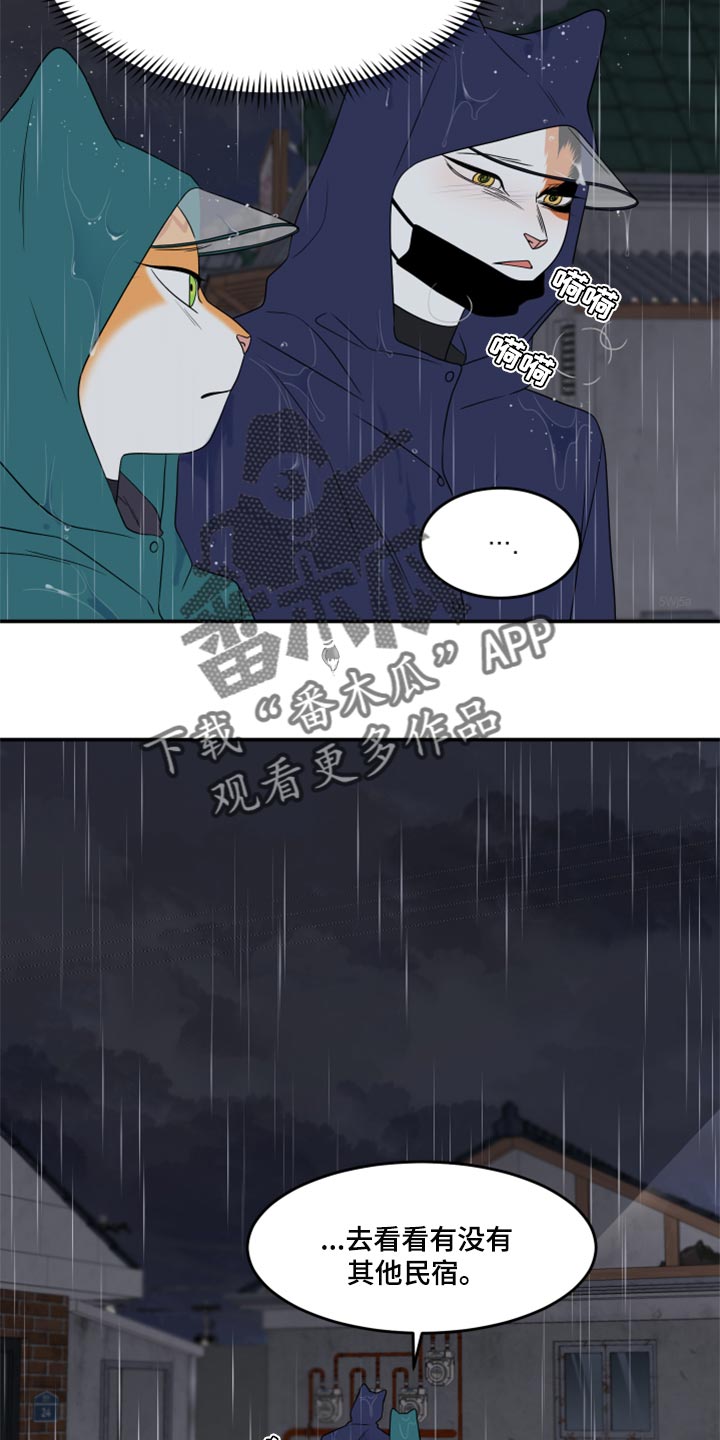 灵猫欧米伽是双男主吗漫画,第54章：【第二季】你要丢下我?2图