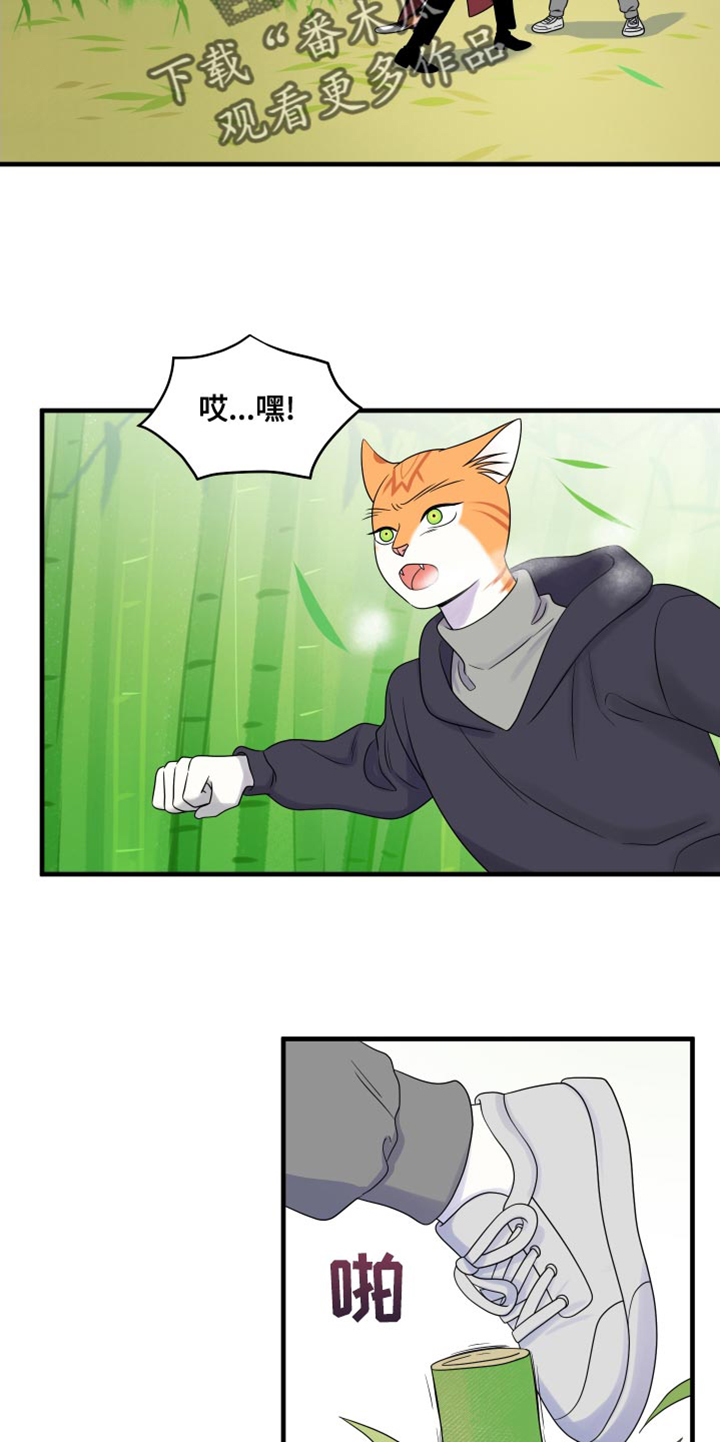 灵猫欧米伽漫画免费阅读漫画,第98章：【第二季】想回去1图