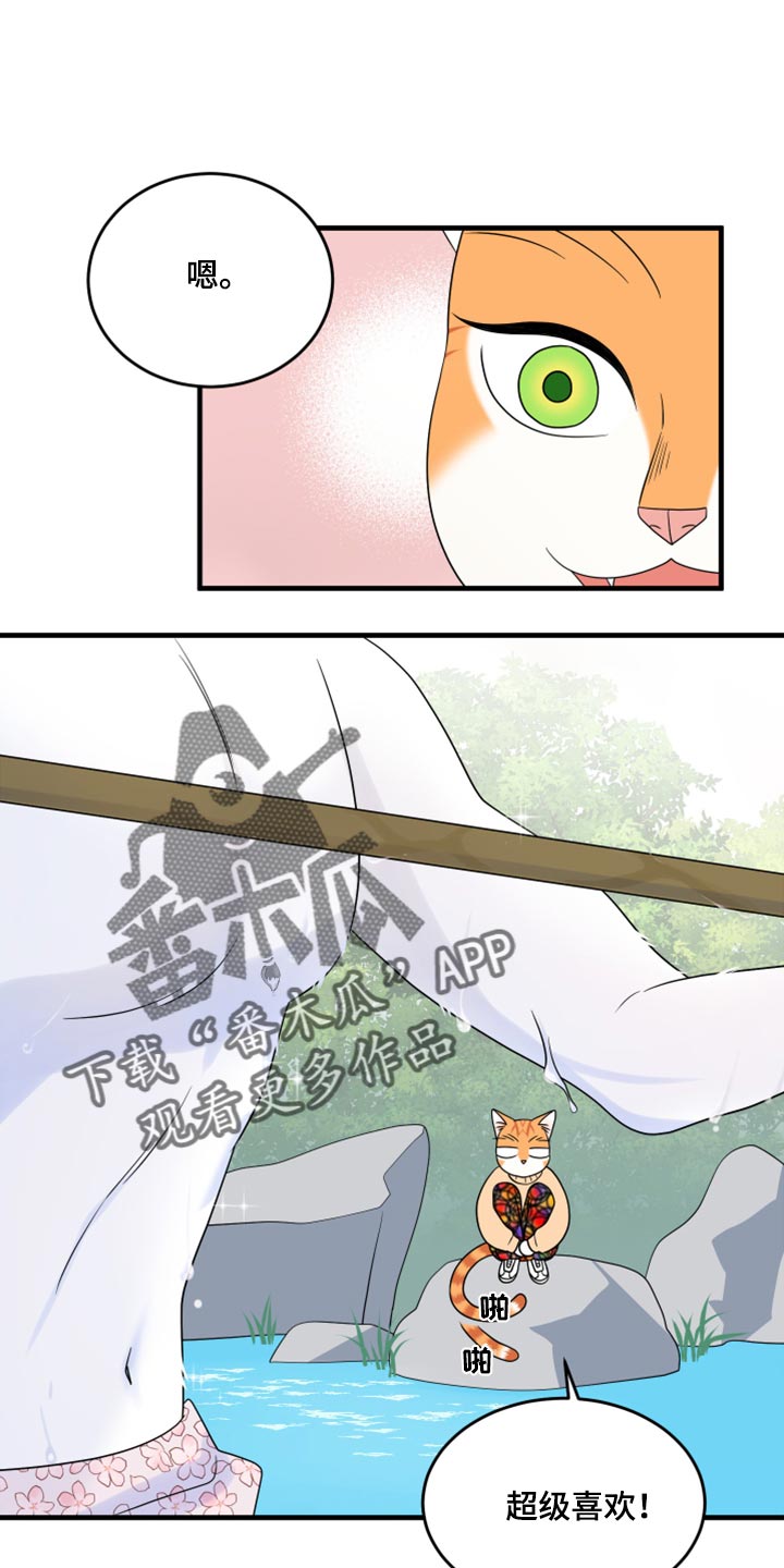 灵猫欧米伽第三季156章漫画,第68章：【第二季】狩猎本能1图