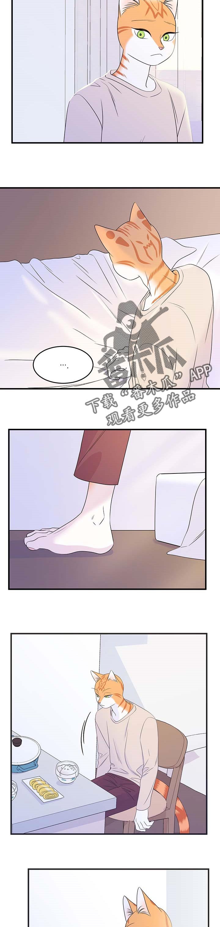 灵猫欧米伽免费阅读漫画,第26章：心痛1图