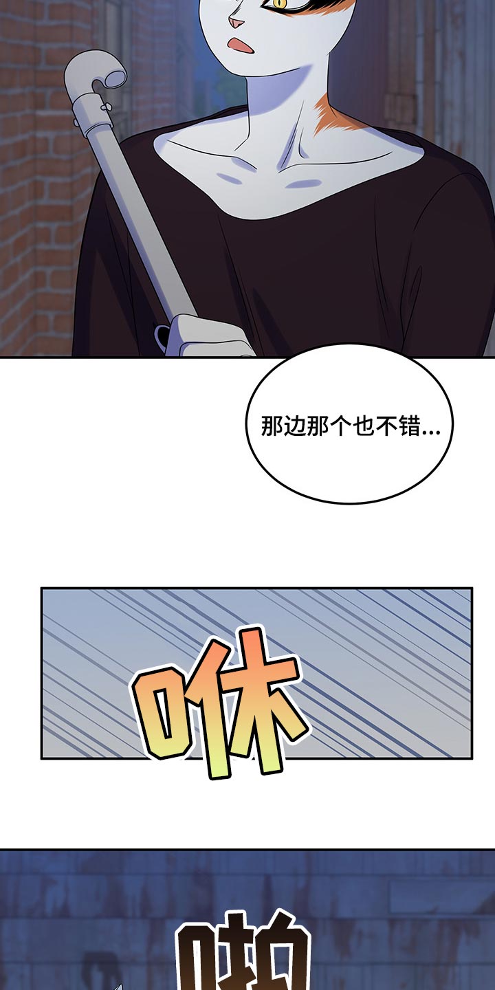 灵猫小说漫画,第36章：道歉2图