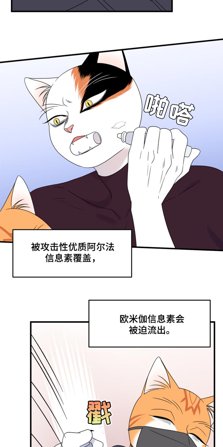 灵猫欧米伽完整版漫画,第65章：【第二季】你到底在想什么？1图