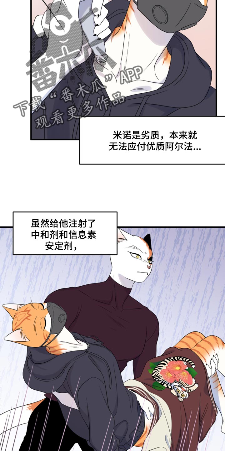 灵猫欧米伽完整版漫画,第65章：【第二季】你到底在想什么？2图