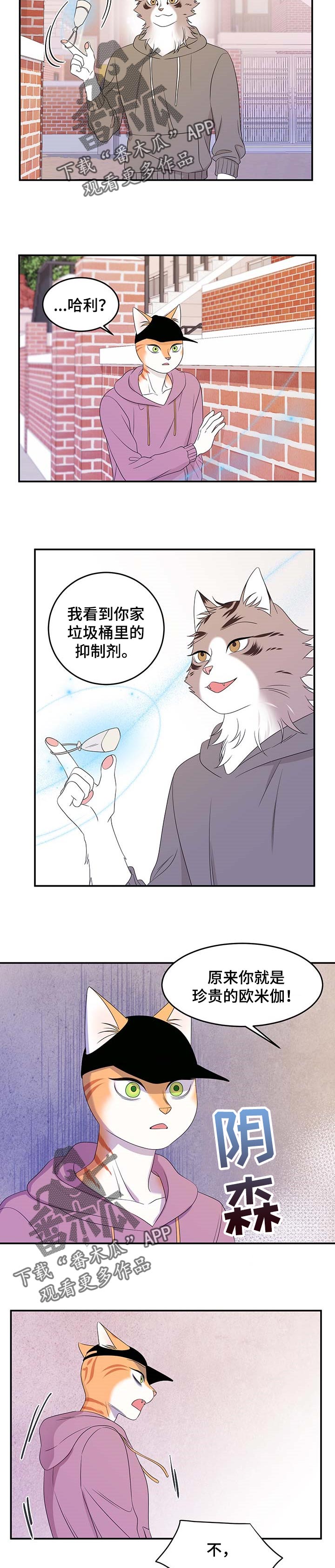 灵猫欧米伽第三季156章漫画,第27章：绑架1图