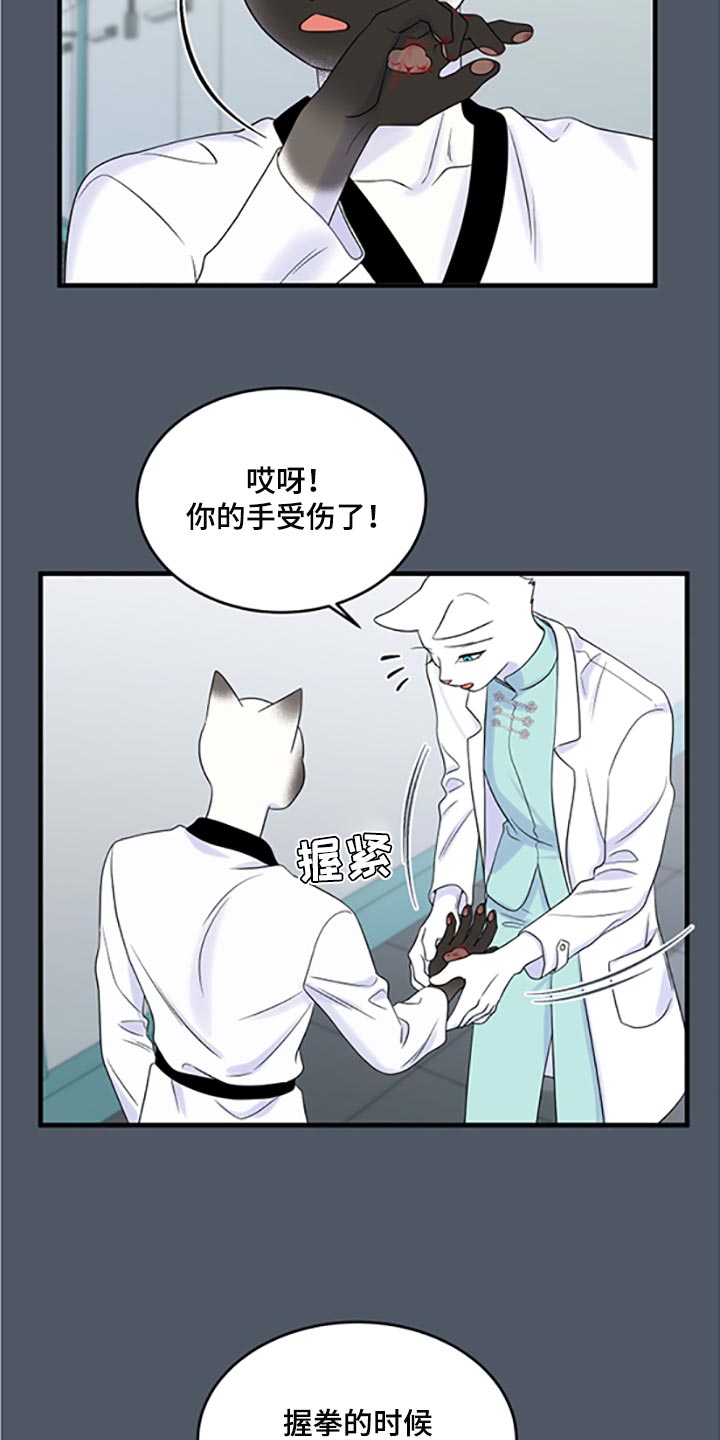 欧米伽3对猫咪有什么作用漫画,第77章：【第二季】一定要在一起！2图