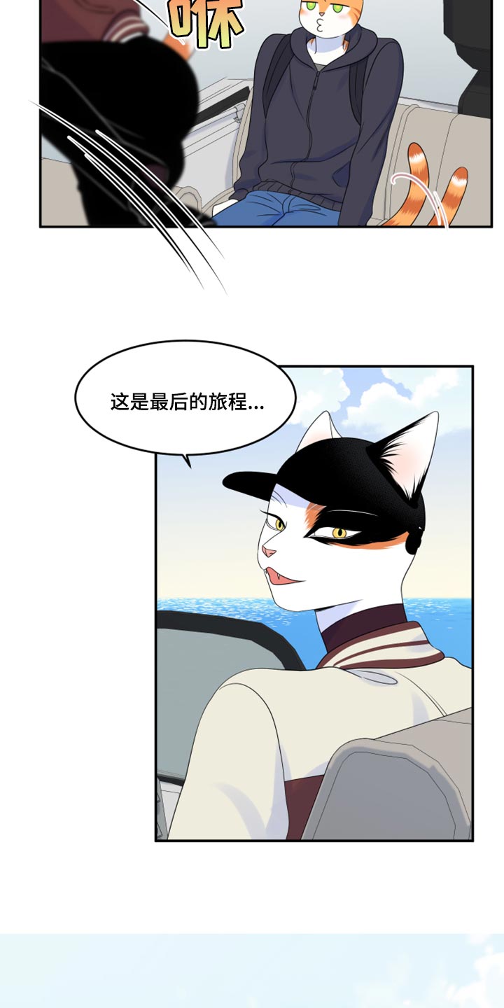 灵猫欧米伽免费版在哪里看漫画,第60章：【第二季】失去理智1图