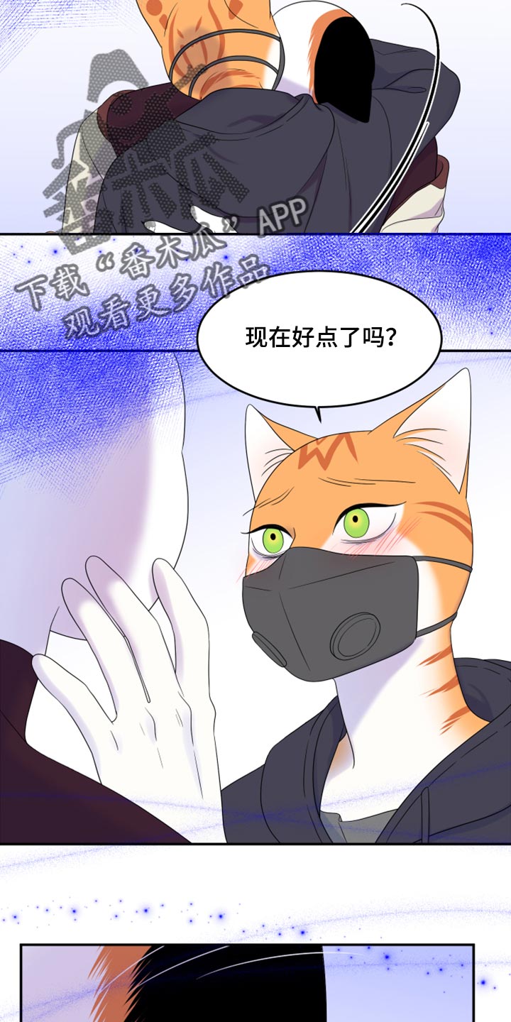 灵猫欧米伽什么时候更新漫画,第63章：【第二季】眼睛还是没变2图