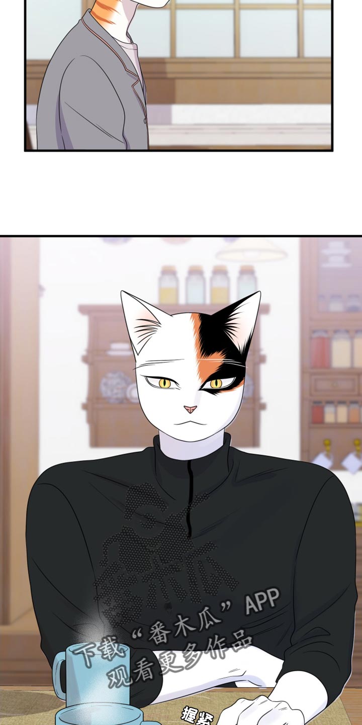 灵猫欧米伽漫画,第100章：【第二季】那我们出去吧2图