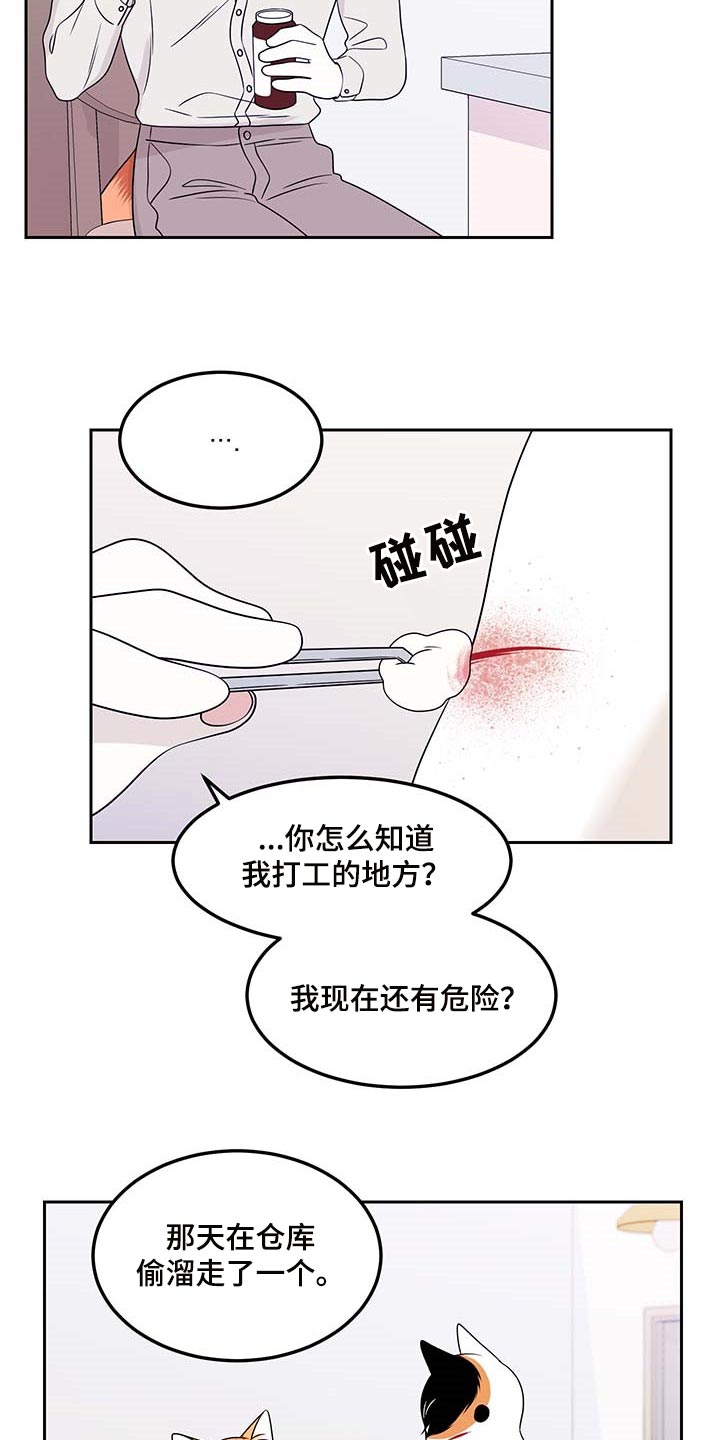 灵猫欧米伽漫画免费观看漫画,第45章：别哭1图