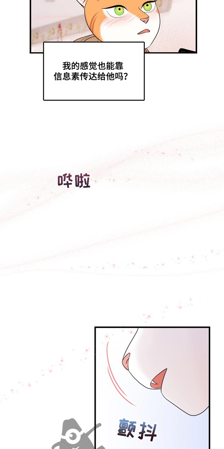 灵猫欧米伽漫画,第104章：【第二季】更重要的事1图
