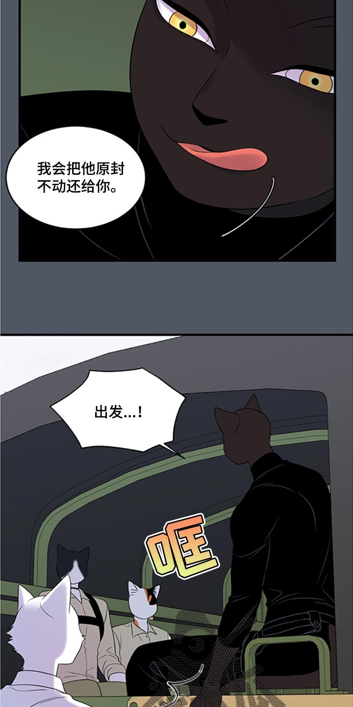 欧米伽3对猫咪有什么作用漫画,第79章：【第二季】傻瓜2图