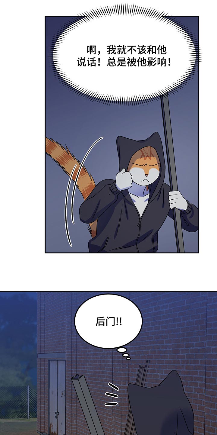 灵猫欧米伽漫画全集免费观看漫画,第36章：道歉2图