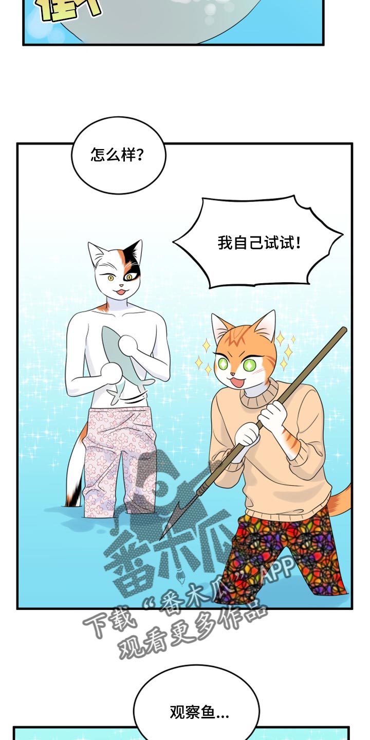 灵猫欧米伽漫画作者漫画,第68章：【第二季】狩猎本能2图