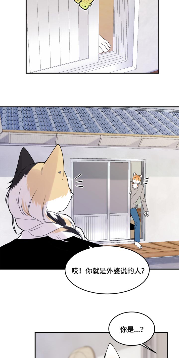 灵猫欧米伽漫画,第54章：【第二季】你要丢下我?1图