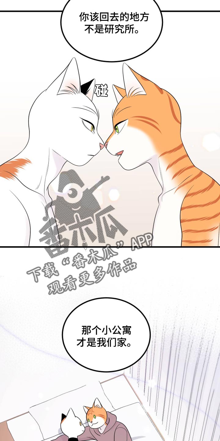 灵猫欧米伽漫画,第71章：【第二季】撒娇2图