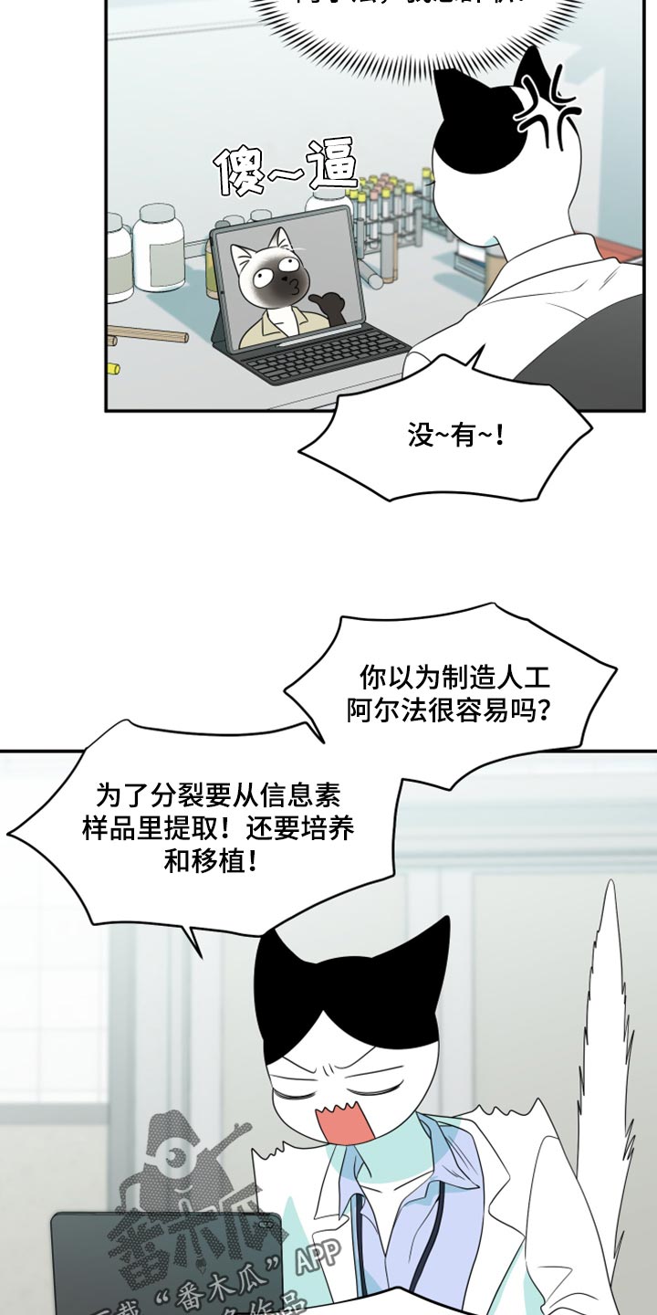 灵猫欧米伽完整版漫画,第57章：【第二季】新来的1图