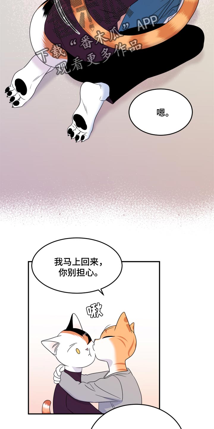 灵猫欧米伽漫画在线观看画涯漫画,第55章：【第二季】你再坚持一下2图