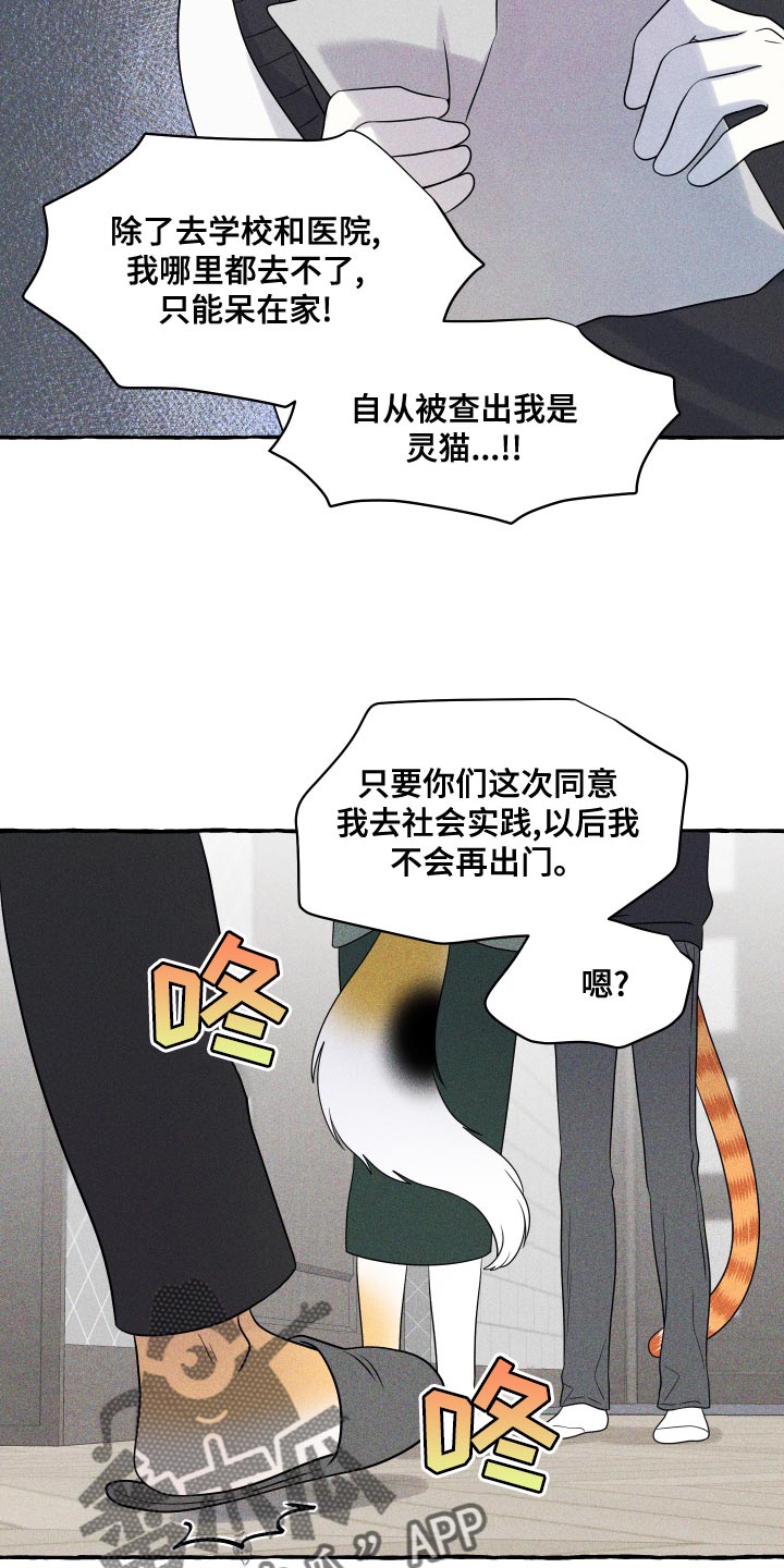 灵猫欧米伽又叫什么漫画,第97章：【第二季】噩梦1图