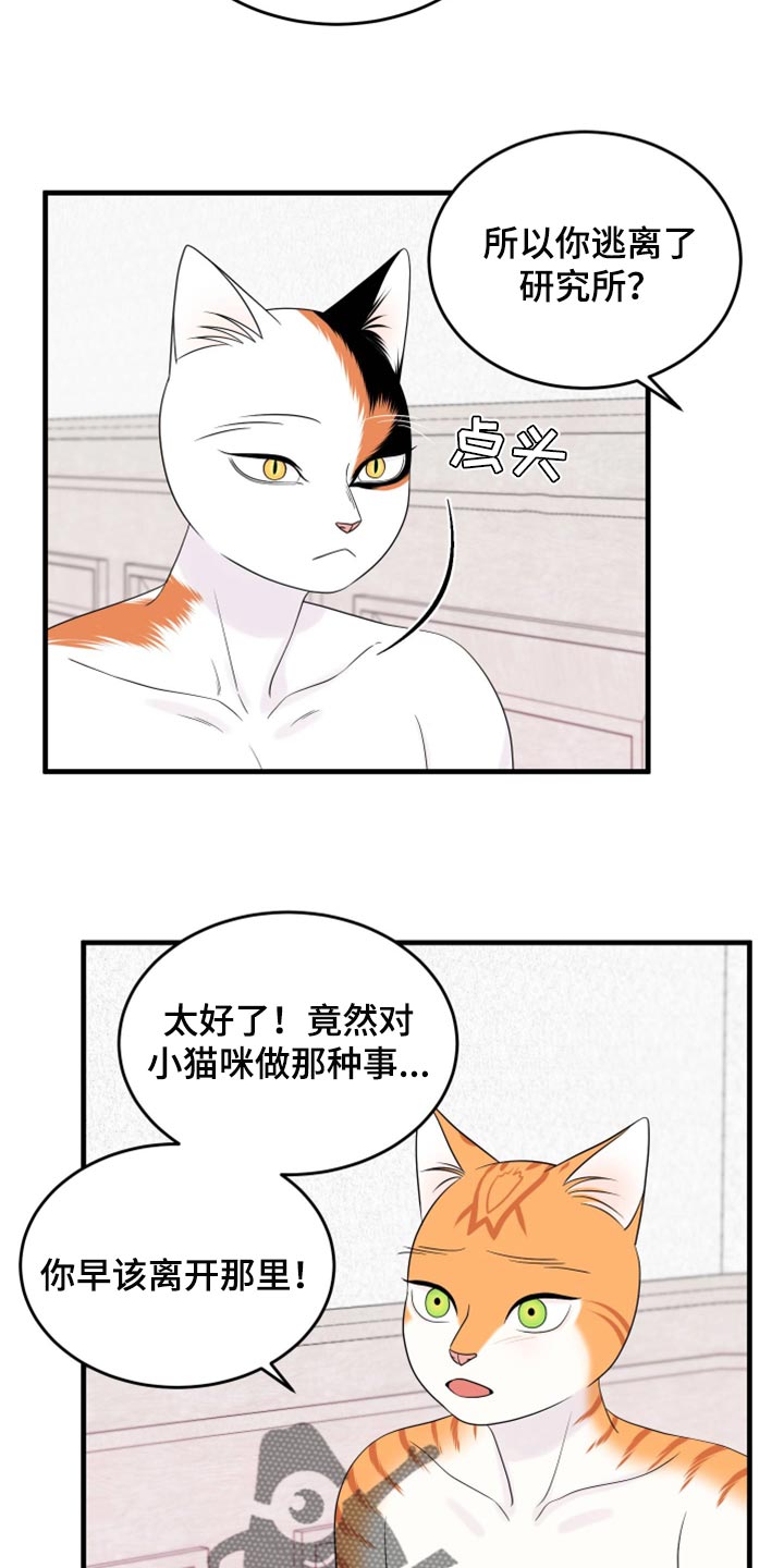 灵猫欧米伽完整版漫画,第71章：【第二季】撒娇1图