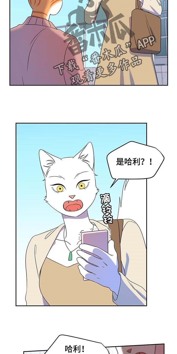 灵猫欧米伽在哪里免费看漫画,第42章：联系方式2图