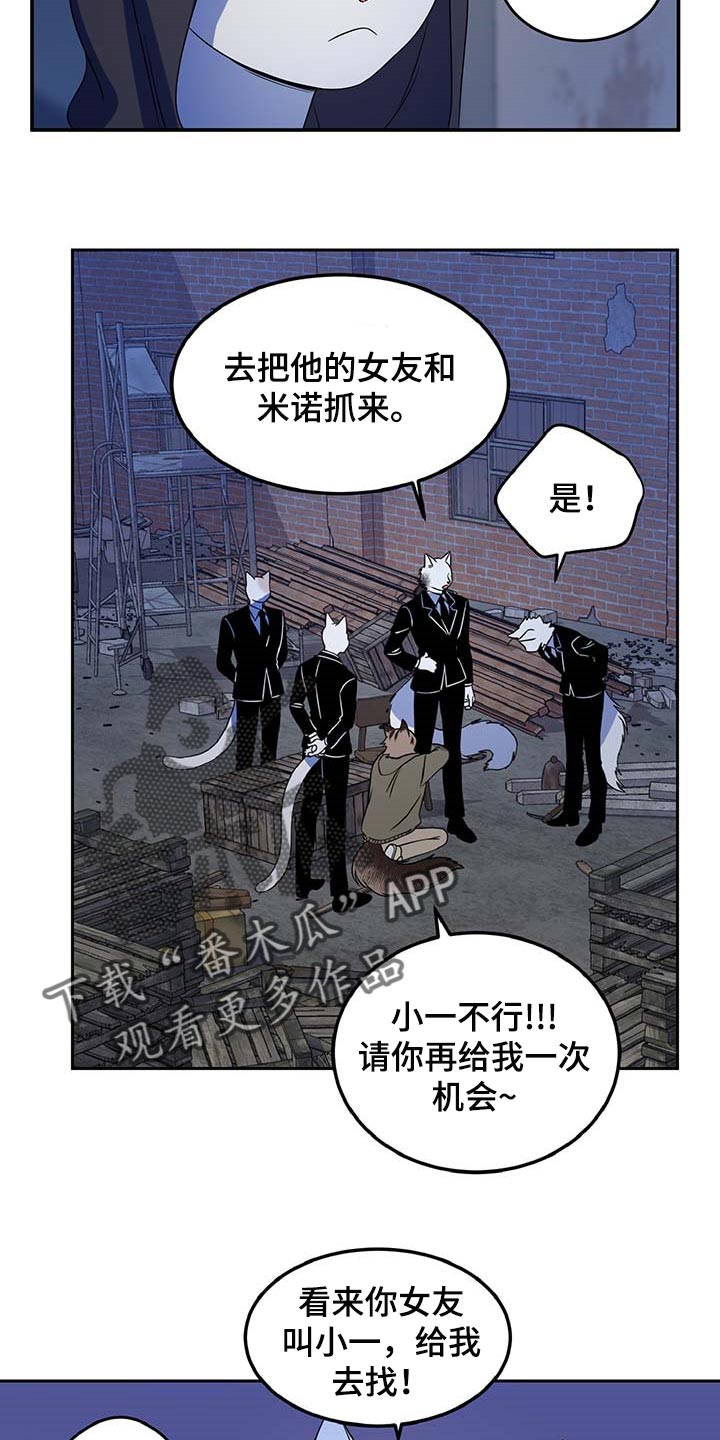 灵猫欧米伽漫蛙叫什么漫画,第37章：我很强的1图