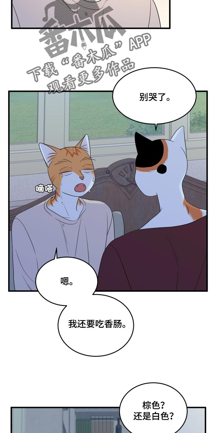 灵猫欧米伽漫画全集免费观看漫画,第67章：【第二季】钓鱼2图