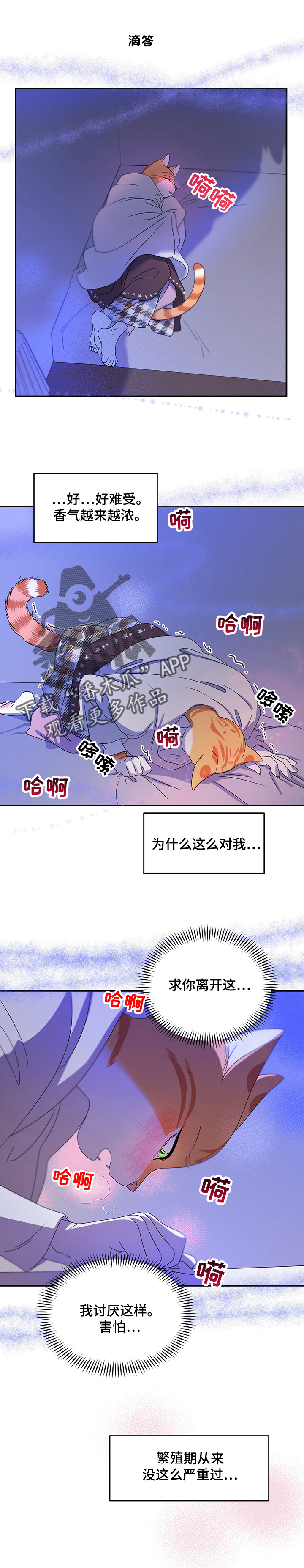 灵猫欧米伽完整版漫画,第7章：又来2图