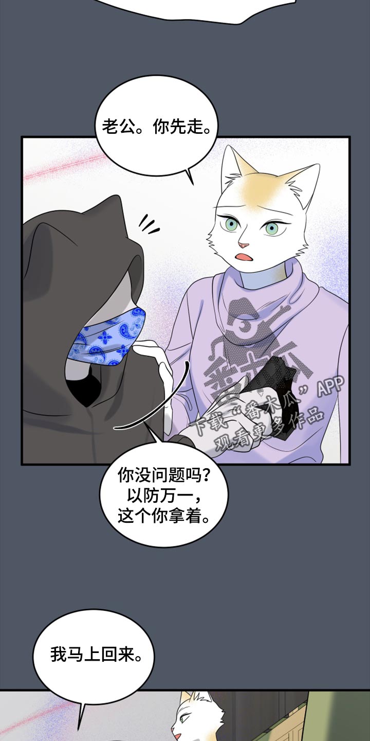 灵猫欧米伽漫画免费观看漫画,第82章：【第二季】我不能离开2图