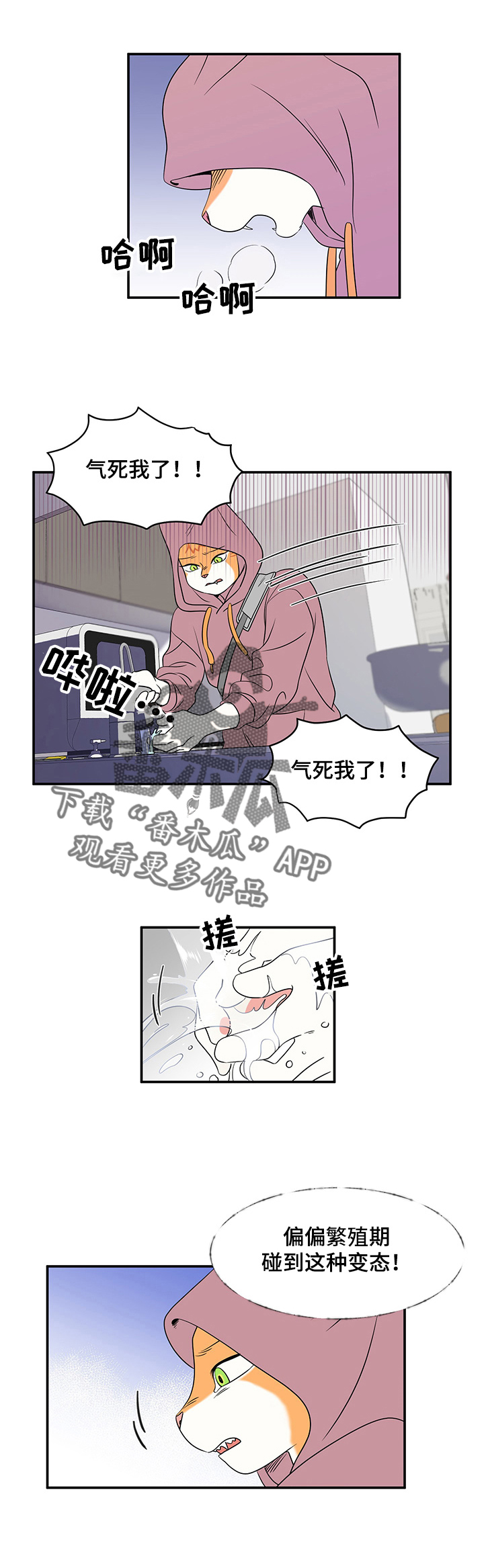 灵猫欧米伽漫画下拉漫画,第2章：神经病2图