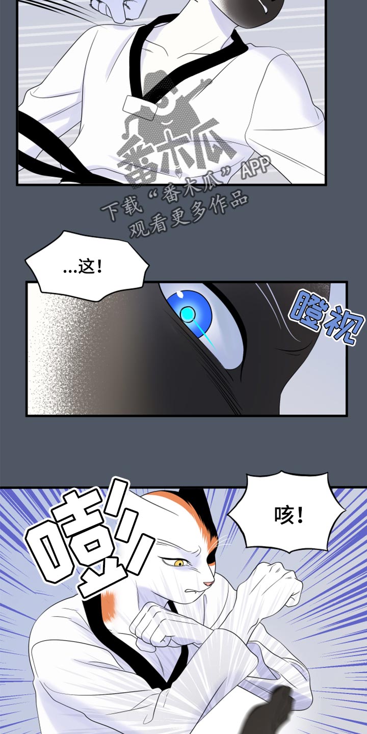 灵猫欧米伽未删减版漫画,第76章：【第二季】有什么特别2图