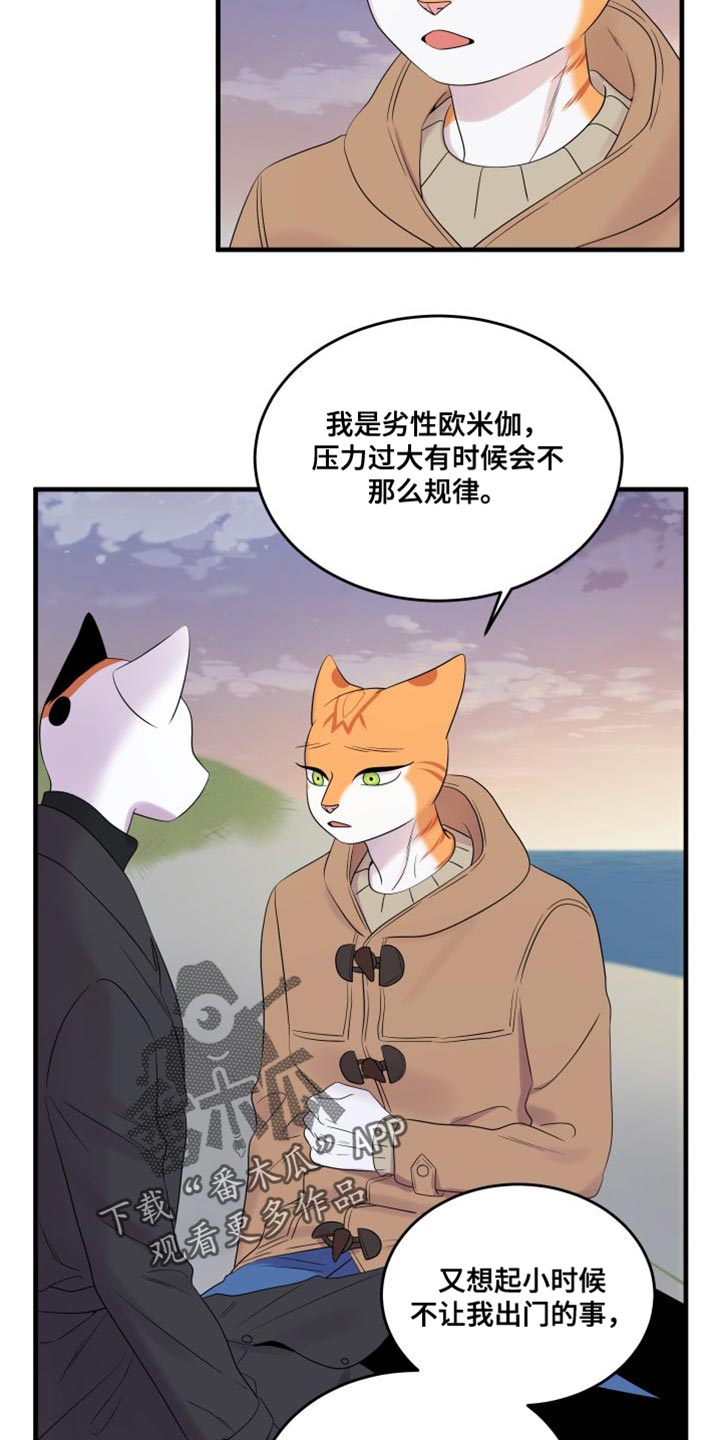 灵猫传攻略漫画,第104章：【第二季】更重要的事1图