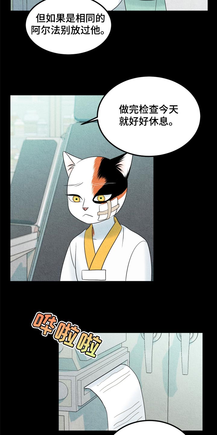 灵猫是什么动物漫画,第70章：【第二季】我想放弃1图