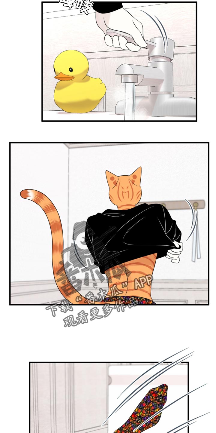 灵猫动画漫画,第69章：【第二季】责任与义务1图