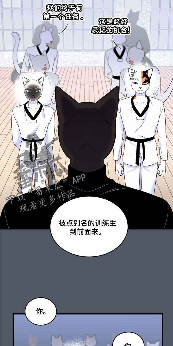 漫画灵猫欧米伽漫画,第76章：【第二季】有什么特别1图