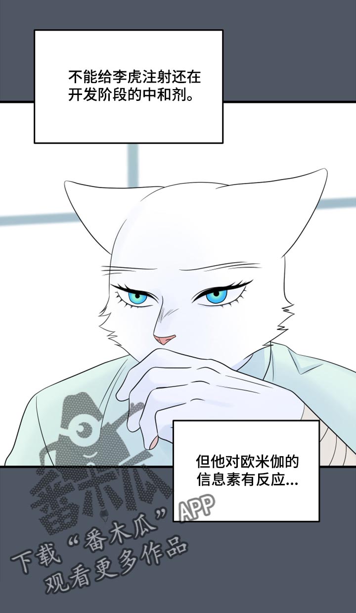 灵猫传手游漫画,第86章：【第二季】忍耐2图