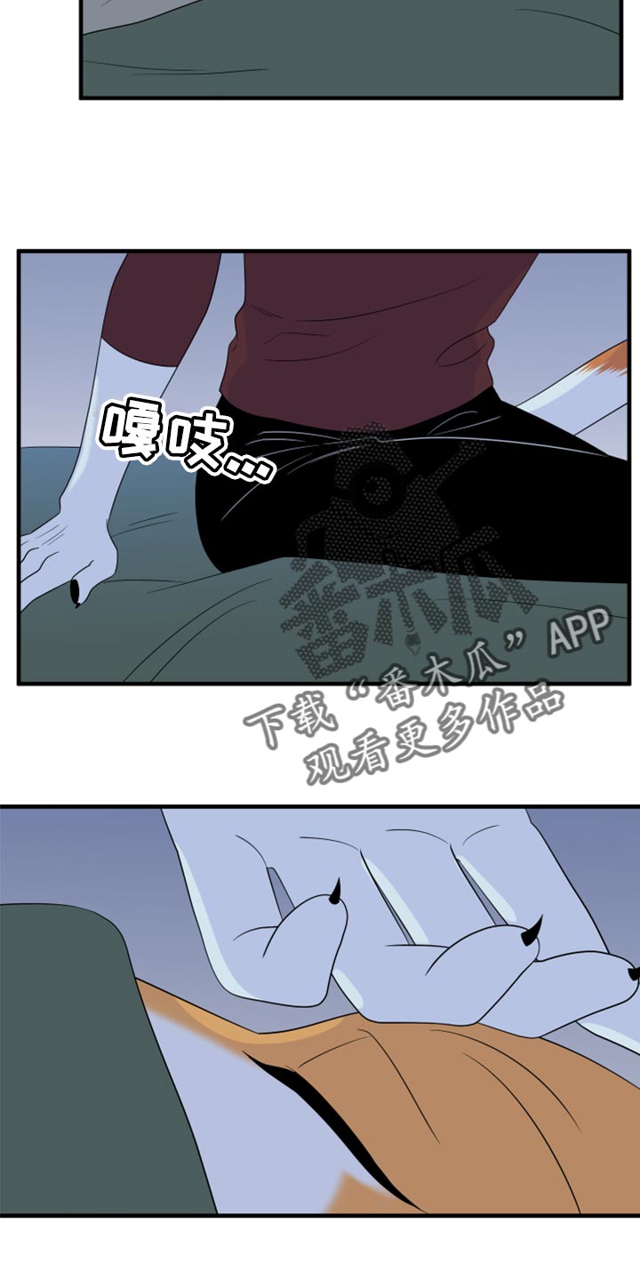 灵猫动画漫画,第66章：【第二季】你可以放心了1图